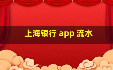 上海银行 app 流水